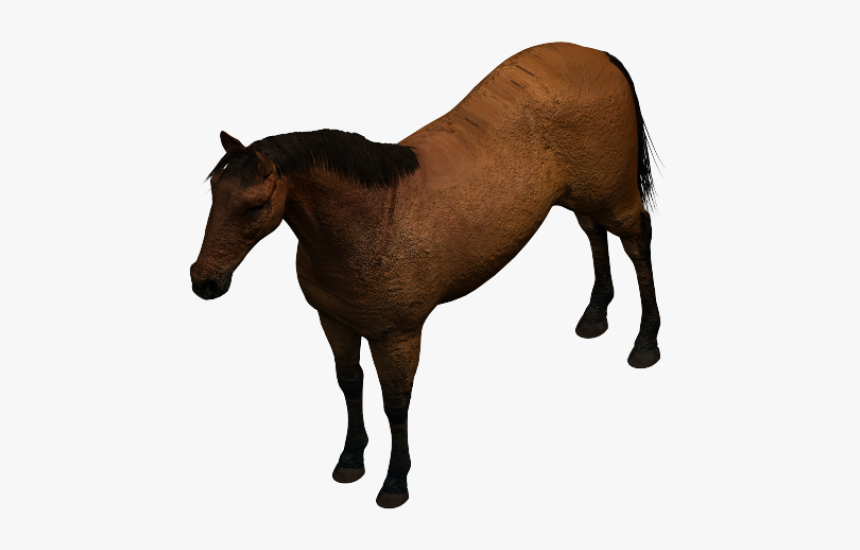 Horse 3ds Max Model - Revit Horse, HD Png Download