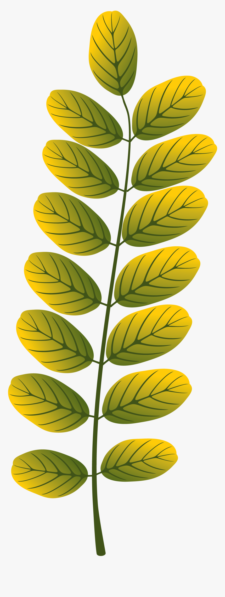 Leaves Designing, HD Png Download