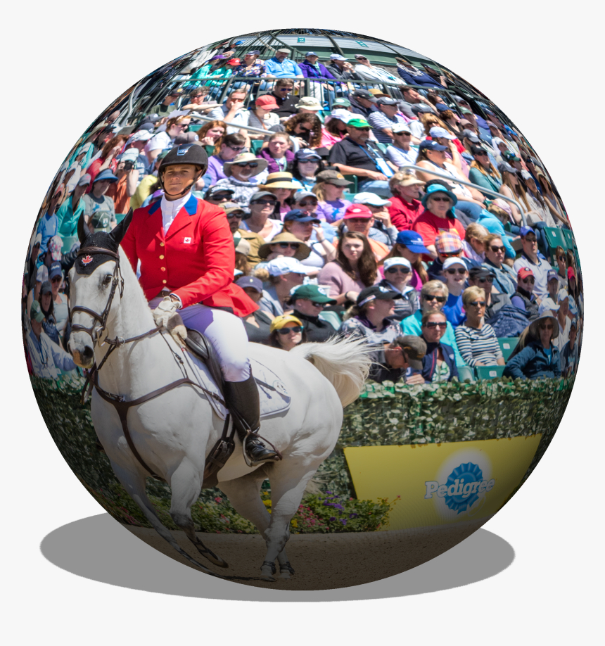 Fun, HD Png Download