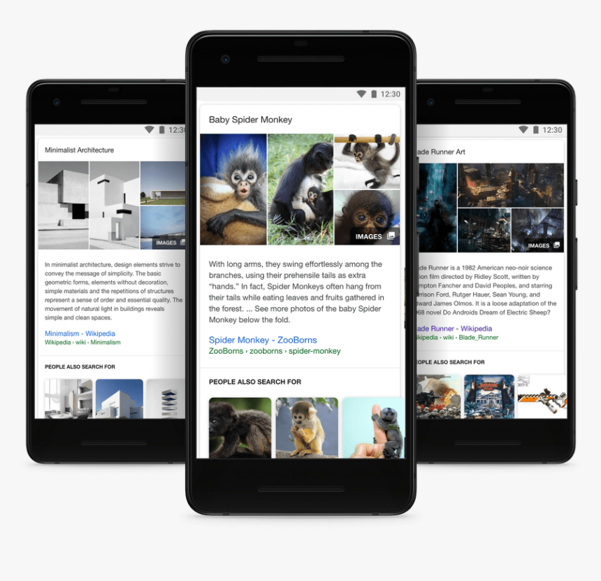 Featuredsnippet Width 1000 - Baby Spider Monkey, HD Png Download