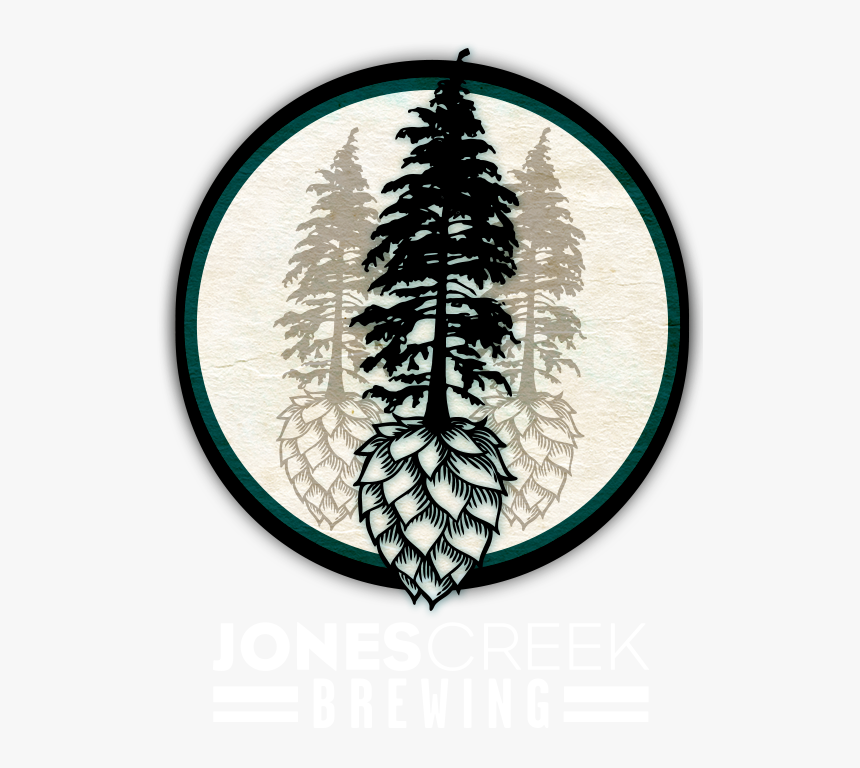 Transparent Beaned Png - Tall Evergreen Tree Silhouette, Png Download