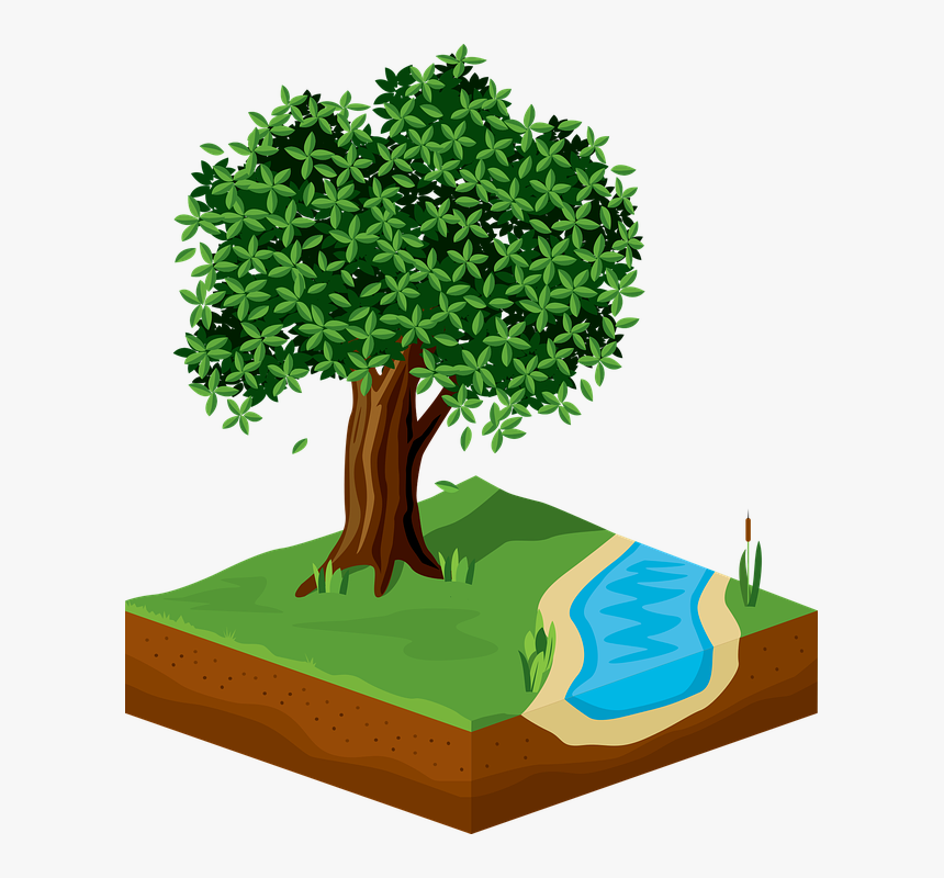 Tree, Green, Foliage, Nature, River, 3d, Ecology - Tree, HD Png Download