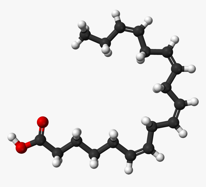 File - Stearidonic Ac - Linoleic Acid 3d Structure, HD Png Download