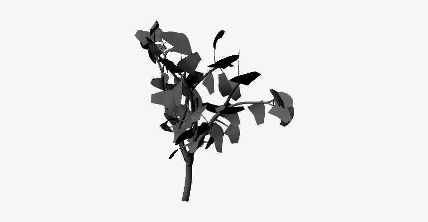 Tree - Silhouette, HD Png Download