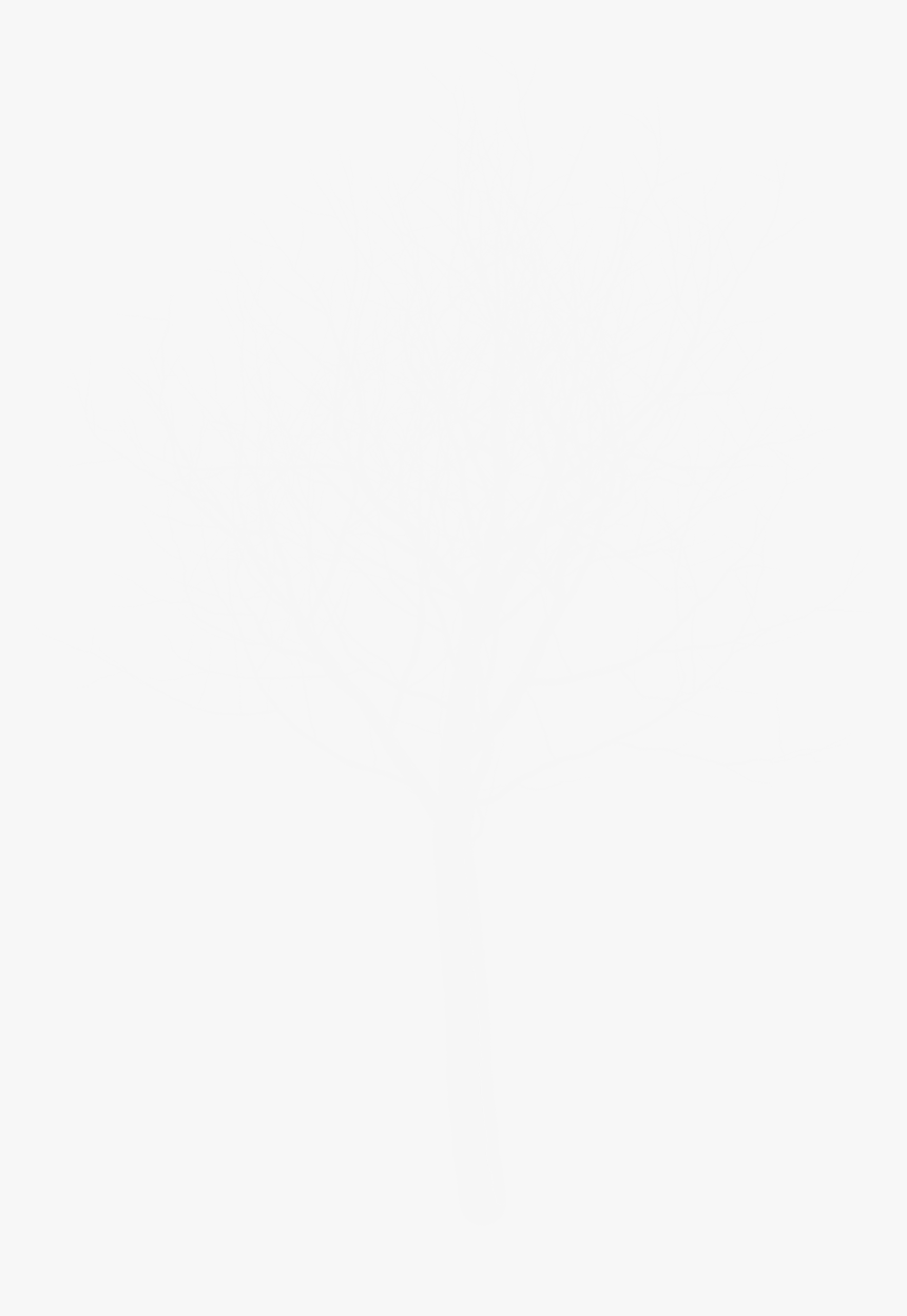 Darkness, HD Png Download