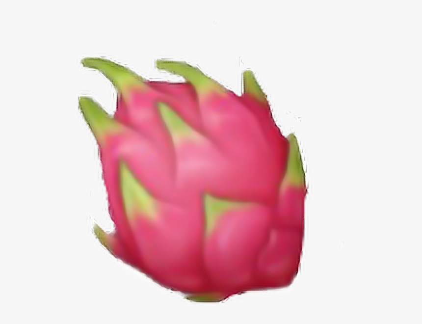 klæde sig ud husmor Lækker fruit #fruits #pink #green #dragon #nature #emoji - Dragon Fruit Emoji Png,  Transparent Png , Transparent Png Image - PNGitem