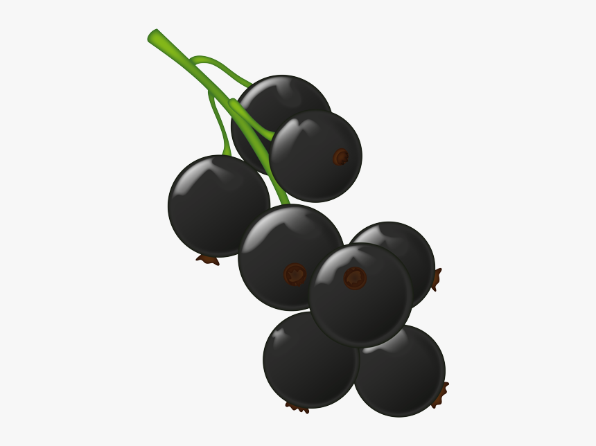 Grape, HD Png Download