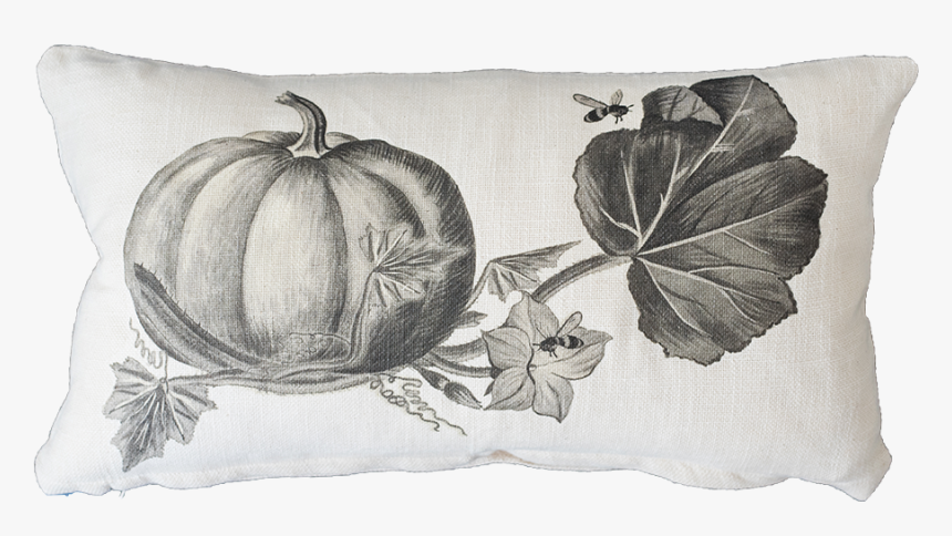 Black And White Pumpkin With Bee - Pumpkin, HD Png Download