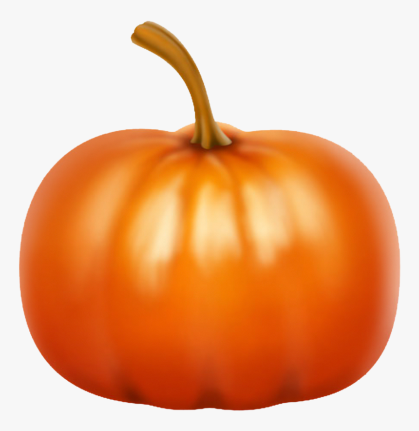 White Pumpkin Varieties Png - Pumpkin Transparent, Png Download