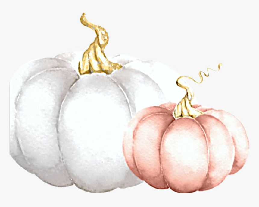 #watercolor #pumpkins #white #pink #fall #autumn #harvest - Pumpkin, HD Png Download