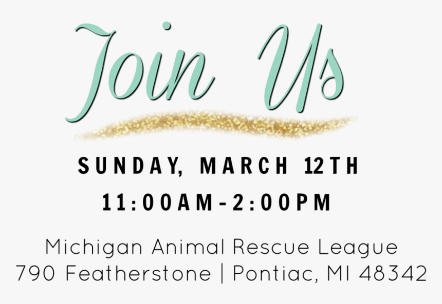 Letter To A Christian Nation, HD Png Download