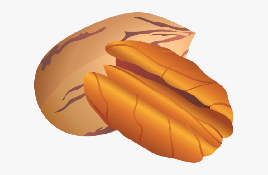 Nut Clip Art - Pecan Clipart, HD Png Download