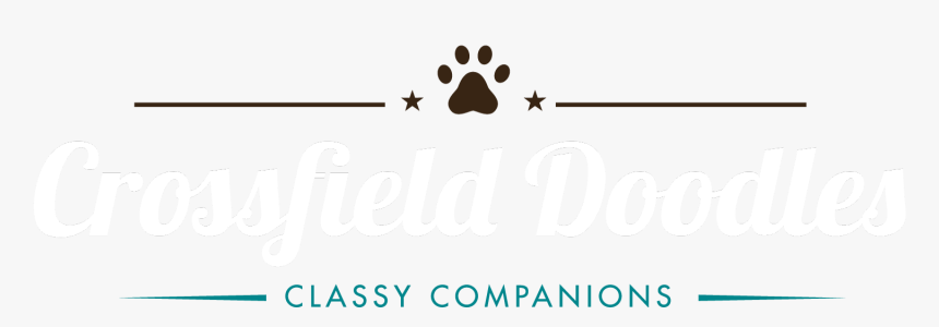 Calligraphy, HD Png Download