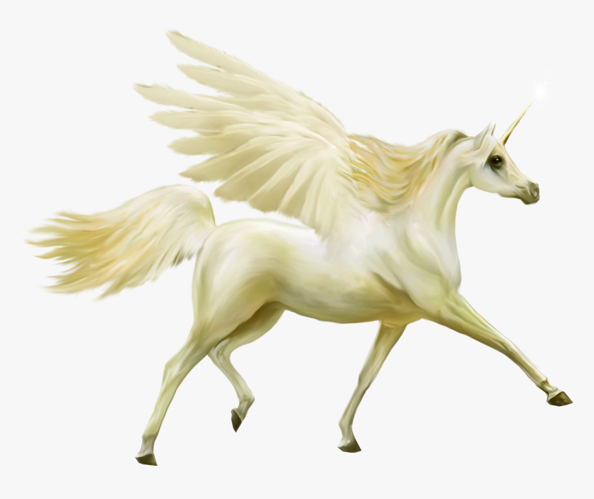 Unicorn, HD Png Download