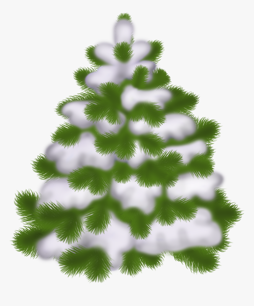 Snowy Christmas Tree Transparent Background, HD Png Download