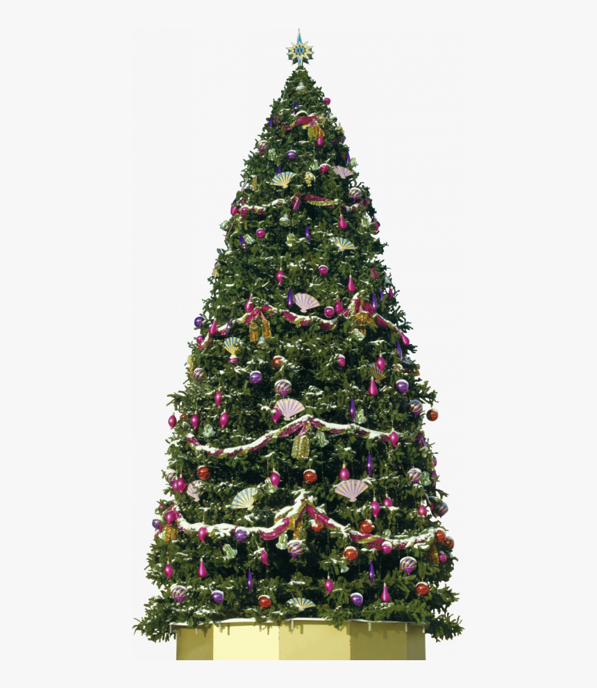 Christmas Tree, HD Png Download