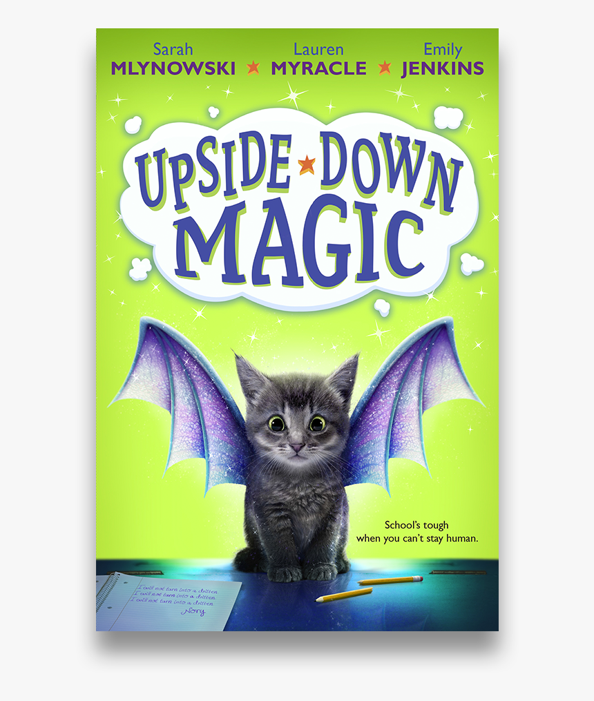 Udm1 - Domestic Short-haired Cat, HD Png Download