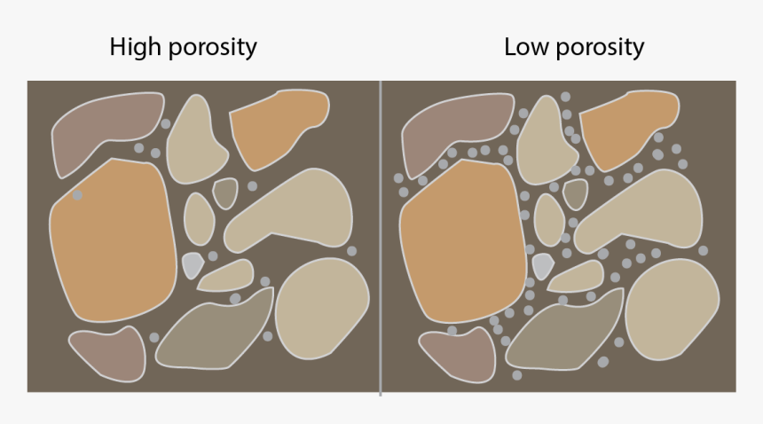 Transparent Turn Down For What Glasses Png - Tree, Png Download