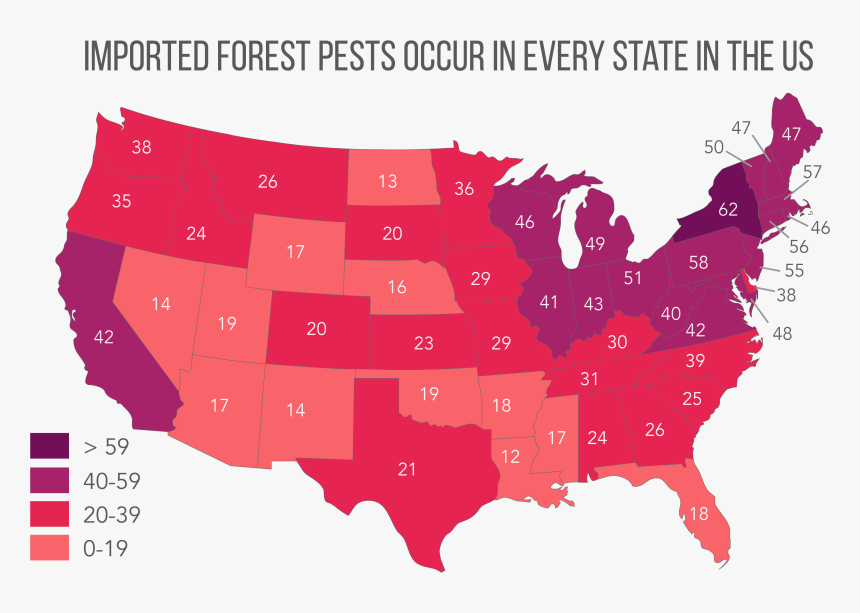 Imported Forest Pests Cc By Leslie Tumblety/cary Institute - Hotspots In The Usa, HD Png Download