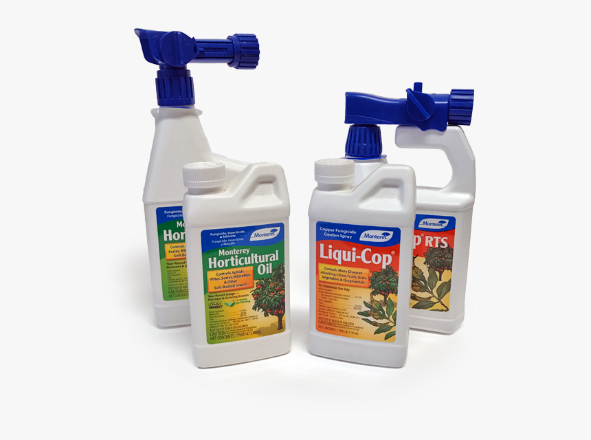 Bottle, HD Png Download