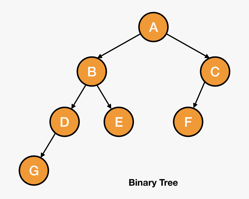 Bianry Tree, HD Png Download
