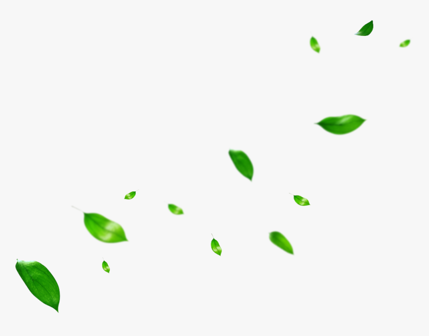 Leaf Clip Art Portable Network Graphics Plant Stem - Green Leaves Overlay Png, Transparent Png