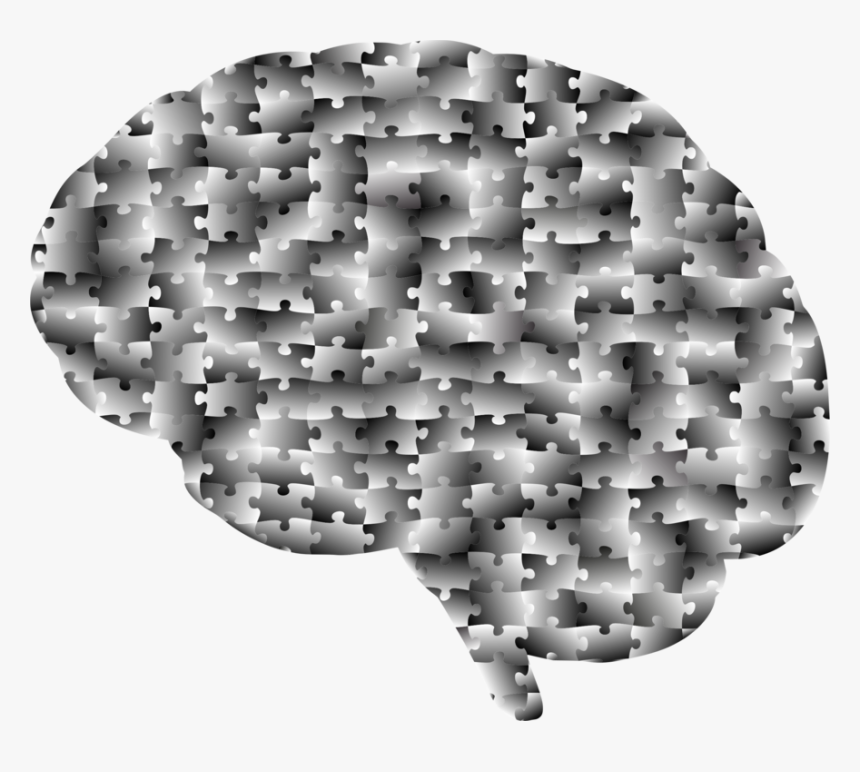 Brain Mapping Jigsaw Puzzles - Jigsaw Puzzle, HD Png Download