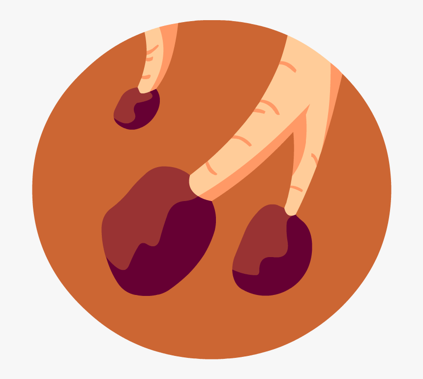 Interactive Game Respiratory System, HD Png Download