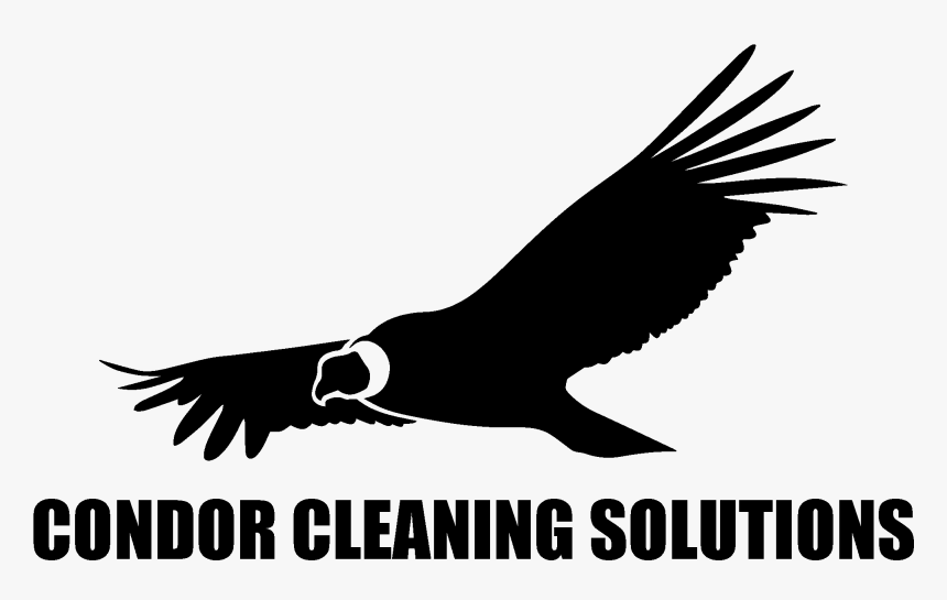 All Star Cheerleading, HD Png Download