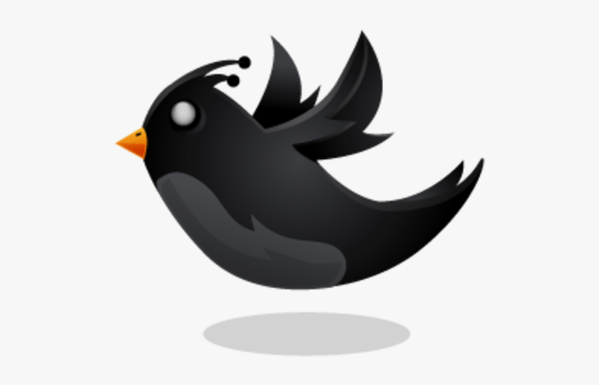 Black Twitter Bird, HD Png Download