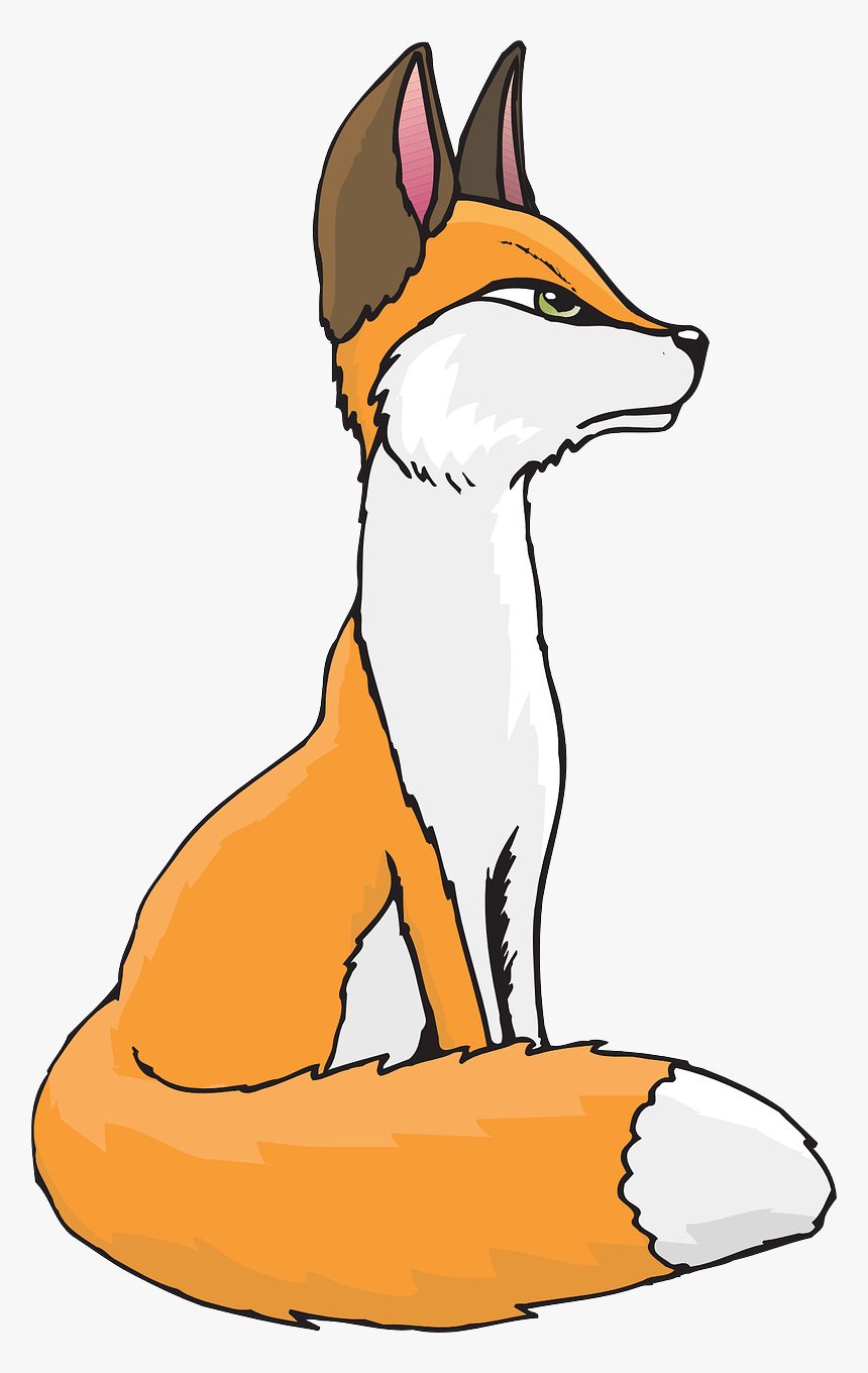 Sitting Fox Clipart, HD Png Download