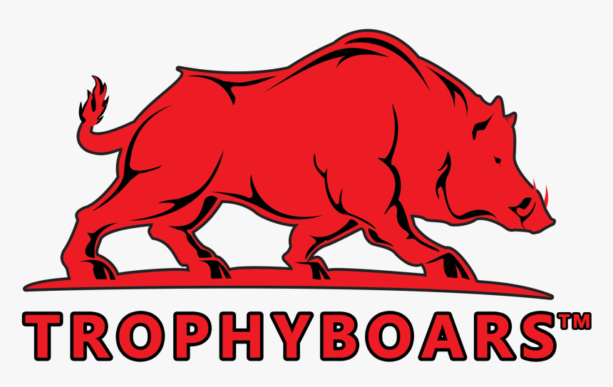 Designed By Out Of The Sandbox , Png Download, Transparent Png