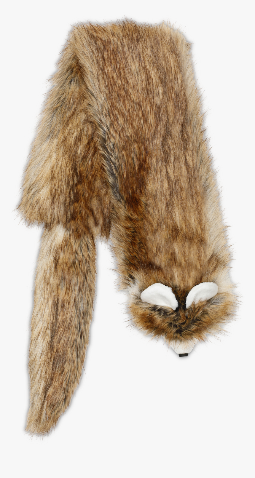 Cat Jumps, HD Png Download