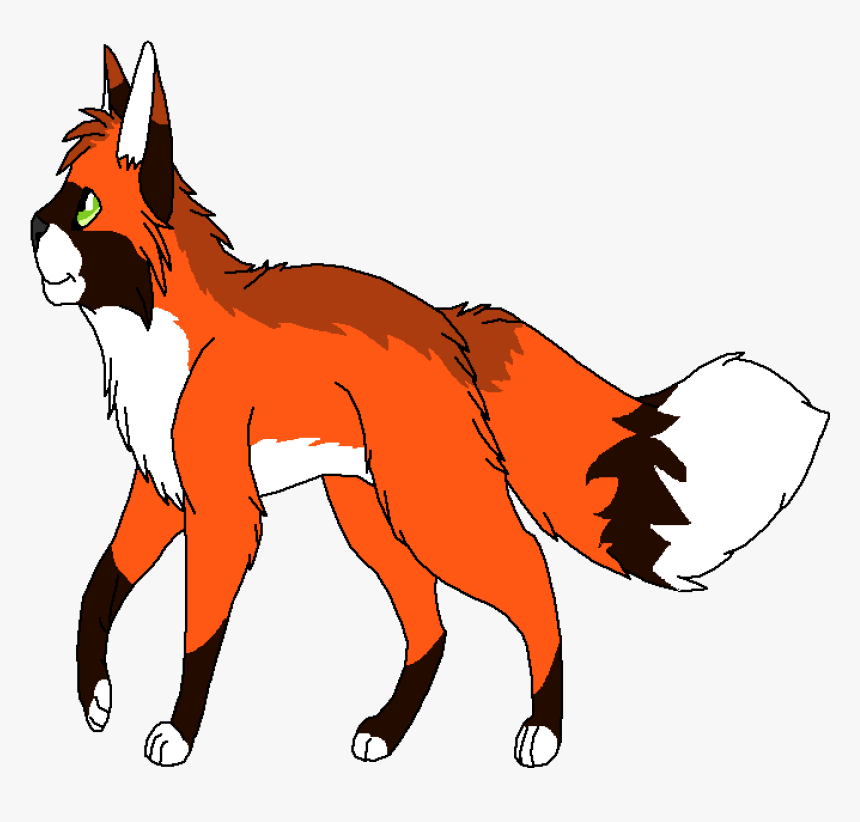 Red Fox, HD Png Download