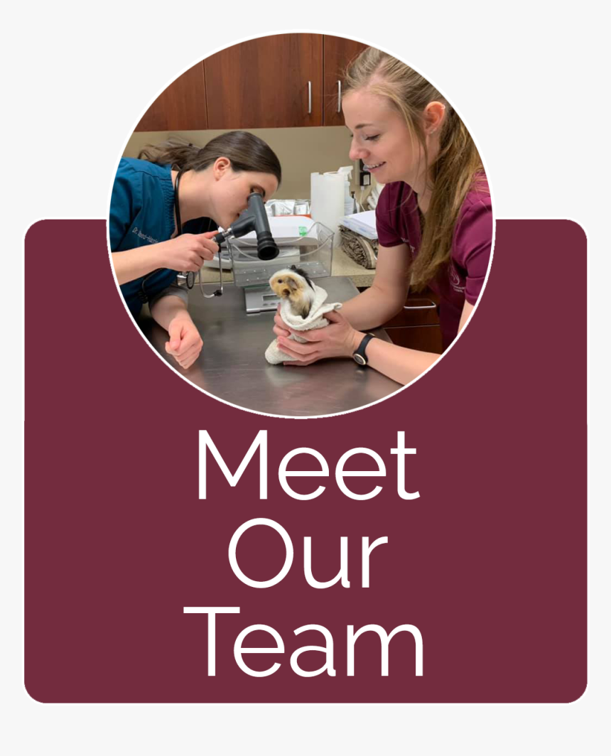 Toddler, HD Png Download