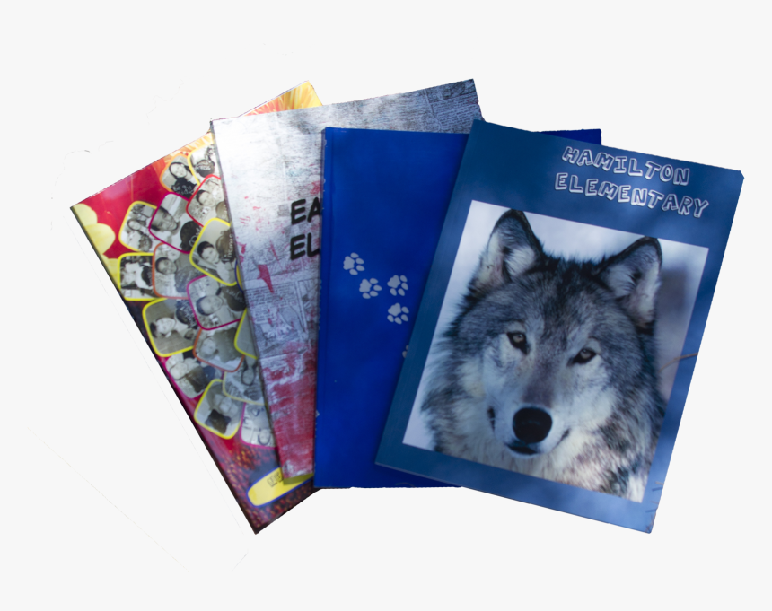 Wolf, HD Png Download