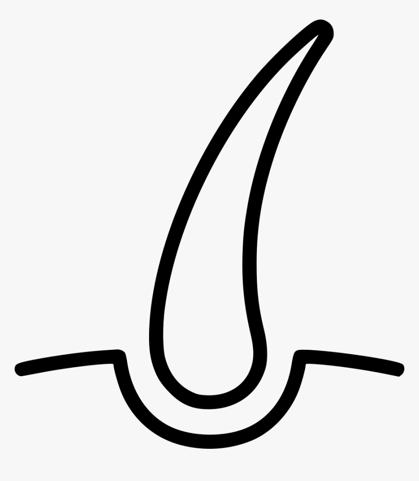 Hairs Shave Follicle Beauty Hair Bulb Hair Follicle Png