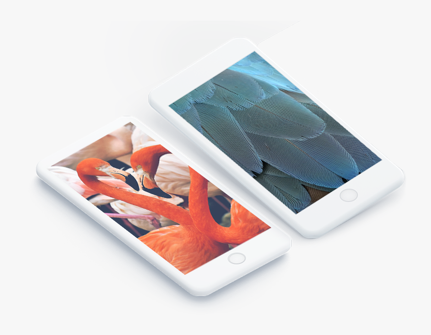 Iphone, HD Png Download