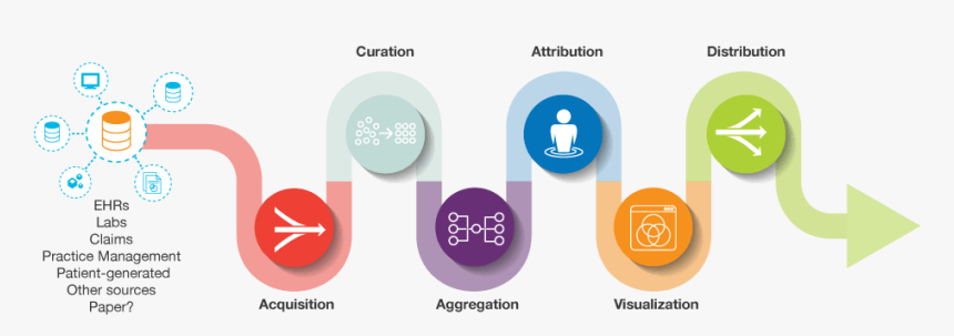 Data Stewardship In Action, HD Png Download
