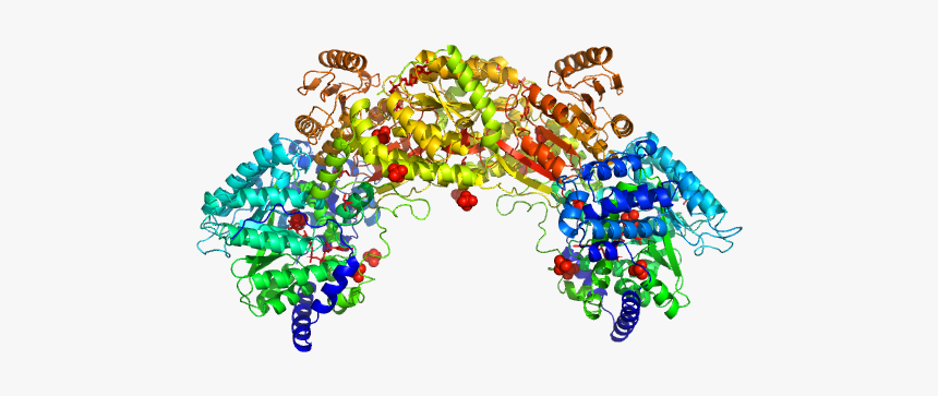 Bifunctional Protein Puta Pdb Model 
				title Load - Illustration, HD Png Download