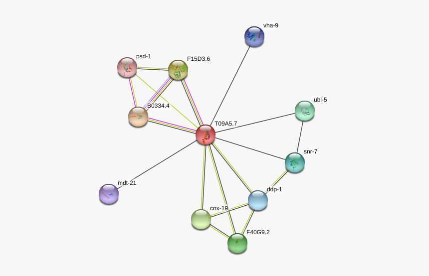 7 Protein - Circle, HD Png Download