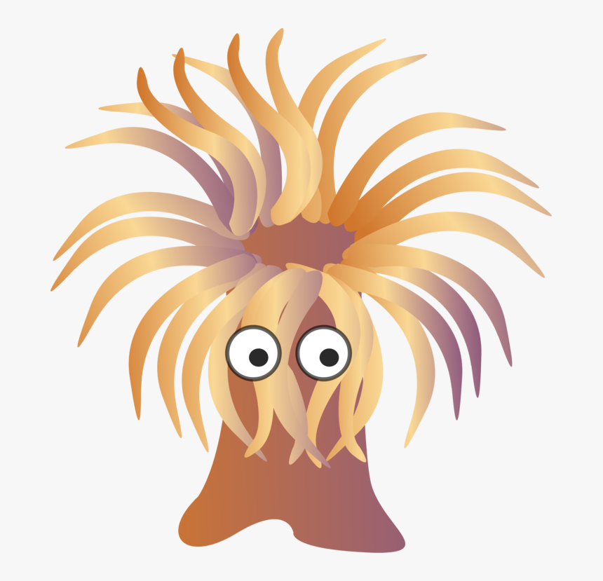 Sea Anemone Clipart, HD Png Download