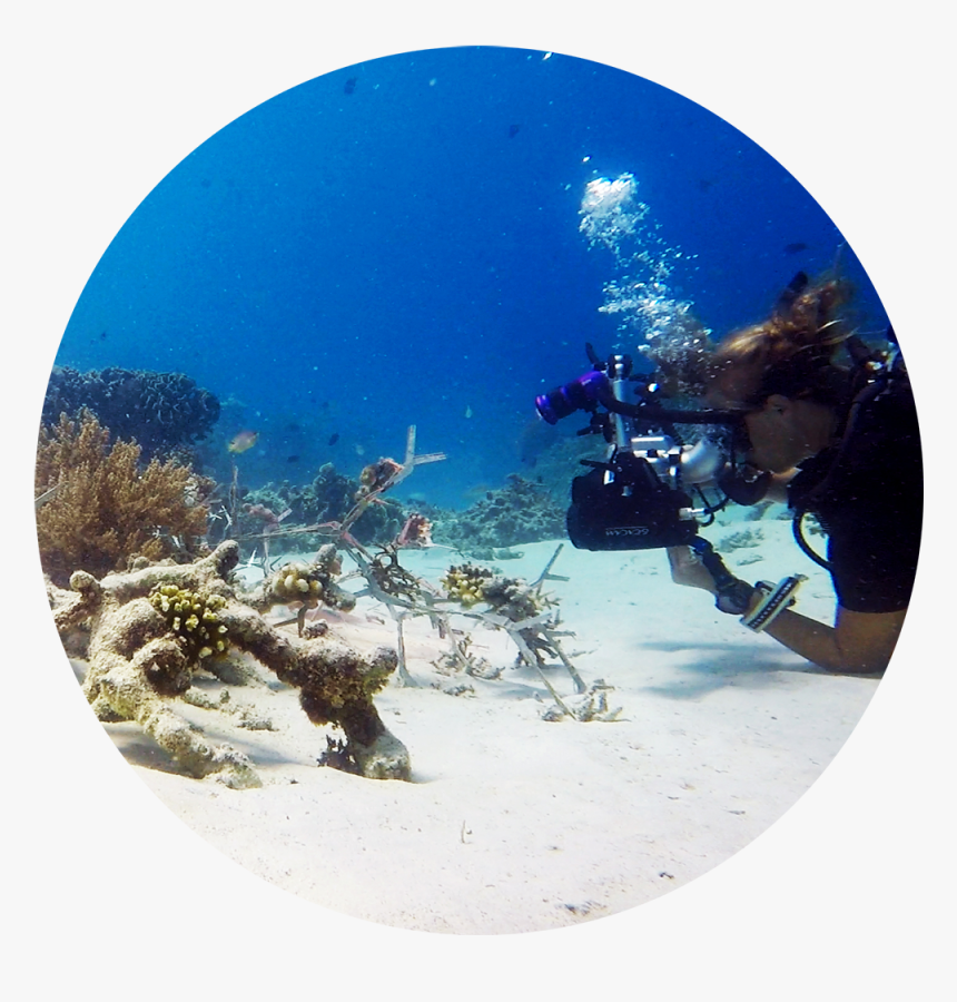 Underwater, HD Png Download