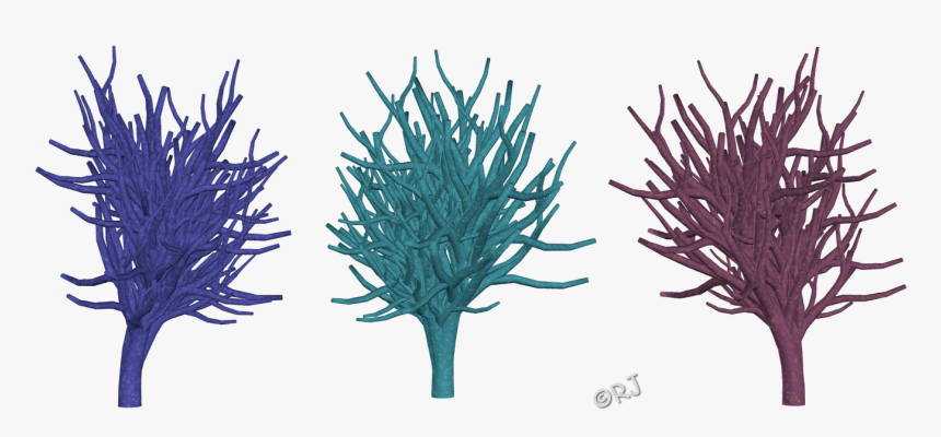Pond Pine, HD Png Download
