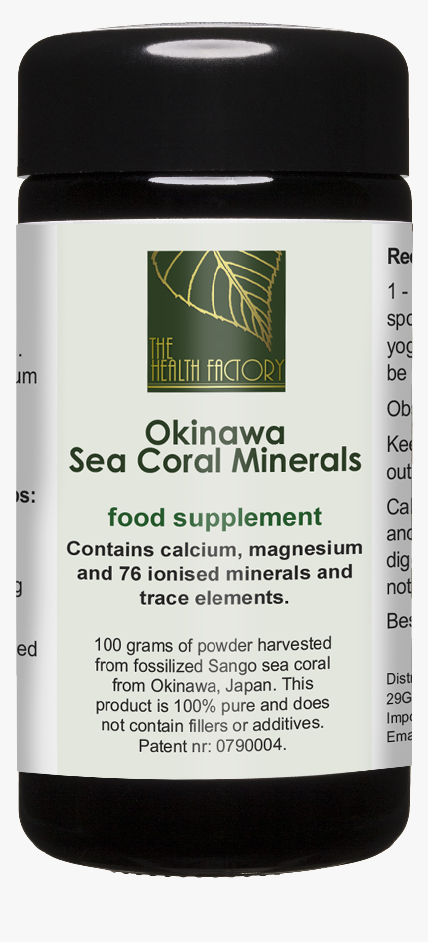 Sea Coral Png, Transparent Png