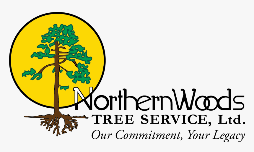 Northern Woods Tree Service Logo - Tree, HD Png Download
