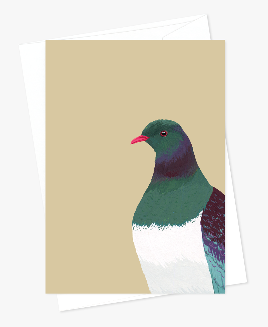 Card And Envelope Kereru - Turkey, HD Png Download
