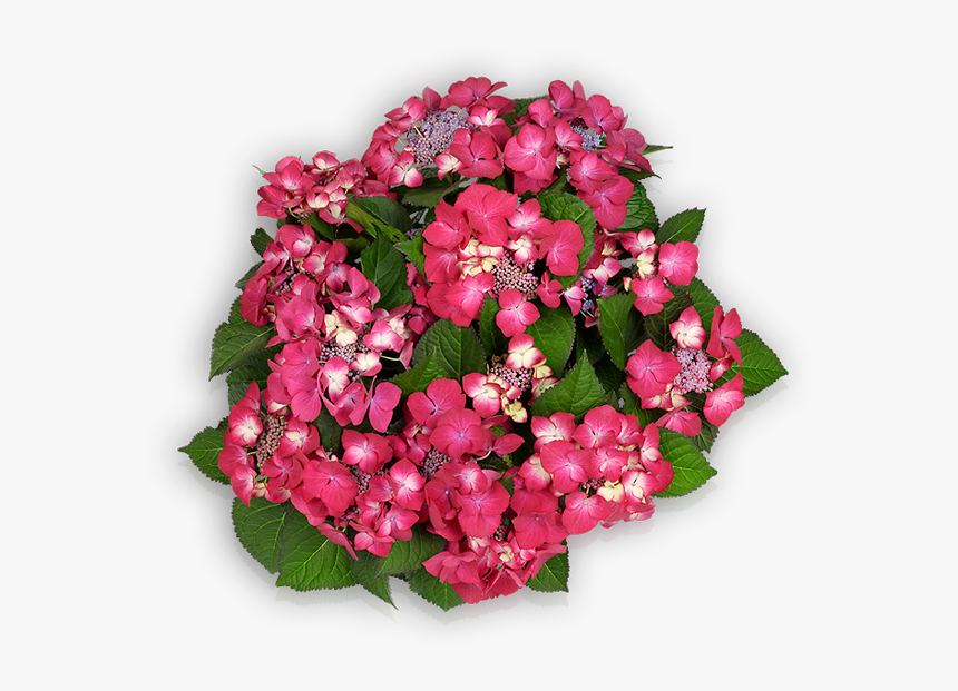 Artificial Flower, HD Png Download