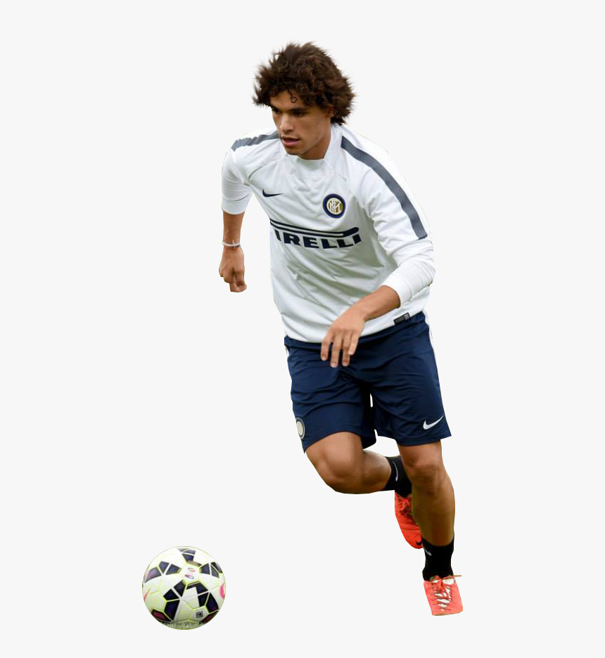 Dodo render - Player, HD Png Download