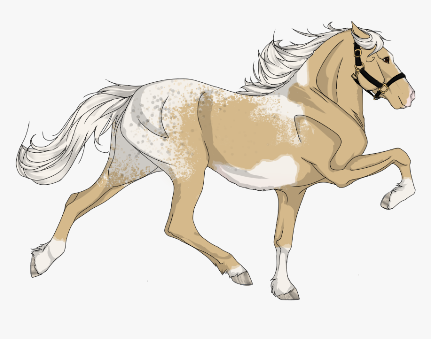 Picture - Palomino, HD Png Download